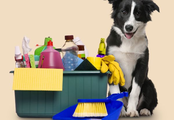 Produtos Químicos Proibidos Para Animais