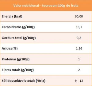 Valor Nutricional da Amora