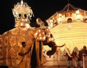 A Famosa Festa 'Kandy Esala Perahera' 3