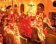 A Famosa Festa 'Kandy Esala Perahera' 6