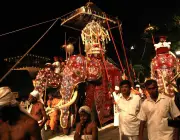 A Famosa Festa 'Kandy Esala Perahera'