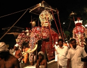 A Famosa Festa 'Kandy Esala Perahera'