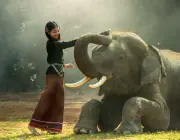 A Humanidade e os Elefantes 2