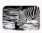 A Listra da Zebra 6