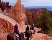 Acampamentos de Bryce Canyon 4