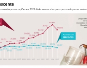 Acidentes Com Escorpião 6