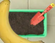 Adubo para Banana Prata 5