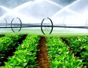 Agricultura de Irrigação 2