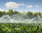 Agricultura de Irrigação 3