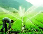 Agricultura de Irrigação 4