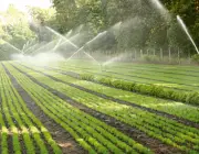 Agricultura de Irrigação 5