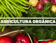 Agricultura Orgânica 2