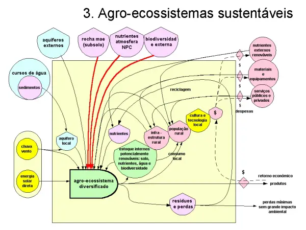 Agroecossistema 3