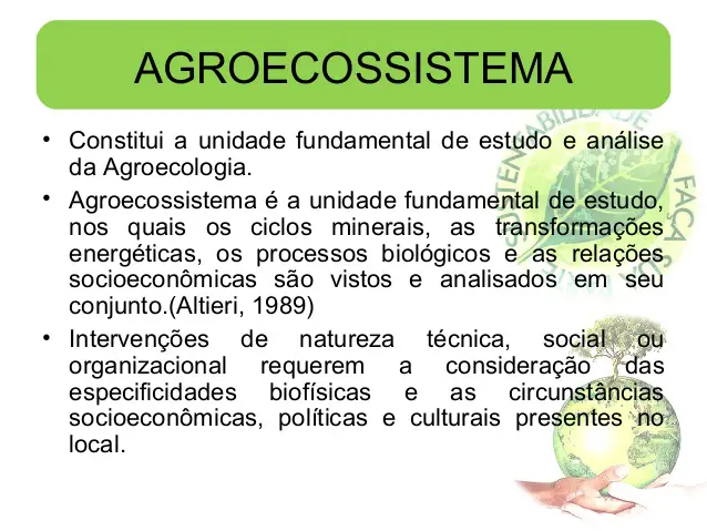 Agroecossistema 6