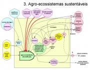 Agroecossistema 3