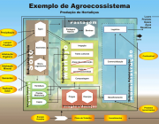 Agroecossistema 1