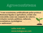 Agroecossistema 6