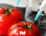 Agrotóxico no Tomate 1