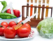 Agrotóxico no Tomate 3