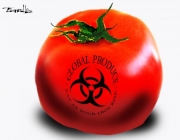 Agrotóxico no Tomate 5