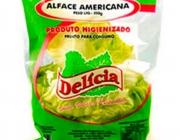 Alface Americana Delicia 6