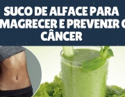 Alface e o Câncer 4