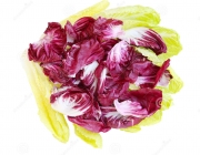 Alface Radicchio 3