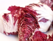 Alface Radicchio 4