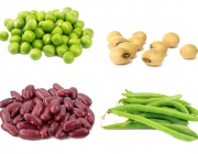 Alimentos Vegetais 1