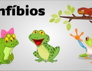 Anfíbios 5