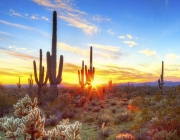 Arizona 3