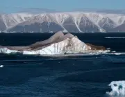 Ártico 1