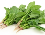 As Verduras 5