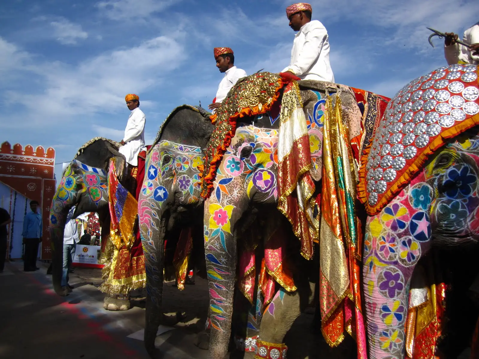 Индийские слоны живут. Фестиваль слонов — Джайпур, Индия. Фестиваль слонов в Индии. Фестиваль слона Индия. Слон в Индии Священное животное.