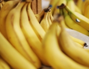 Aumento da Produtividade da Banana 1