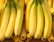 Aumento da Produtividade da Banana 2