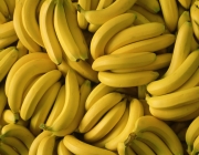 Aumento da Produtividade da Banana 3