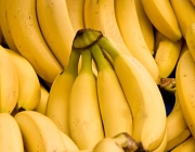 Aumento da Produtividade da Banana 5