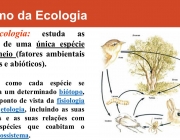 Verifica como cada espécie se adaptou a um determinado biótopo, tanto do ponto de vista da fisiologia como da etologia, incluindo as suas migrações e as suas relações com outras espécies que coabitam o mesmo ecossistema.