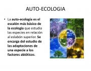 Autoecologia 6