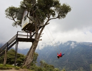 Balanço na La Casa Del Arbol 2