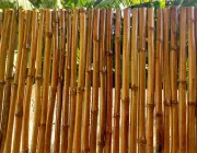 Bambu 3