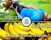 Banana - Cãibra 4