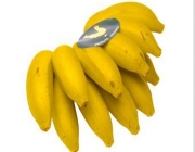 Banana Caipira 2