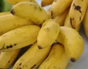 Banana Caipira 4