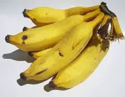 Banana Caturra Fotos 1