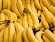 Banana Caturra 1