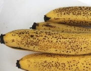 Banana Caturra 2