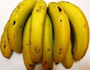 Banana Caturra 4