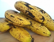 Banana Caturra 5